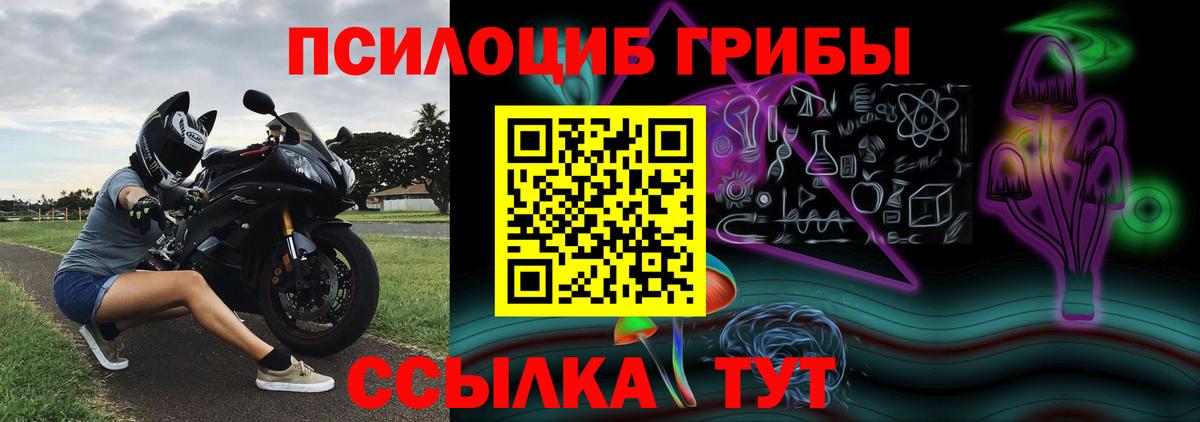 Камышин  продажа наркотиков  Вход с VPN  Галлюциногенные грибы Cubensis  Галлюциногенные грибы Psilocybine cubensis 